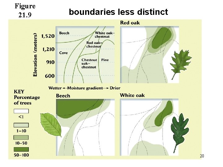 Figure 21. 9 boundaries less distinct 20 