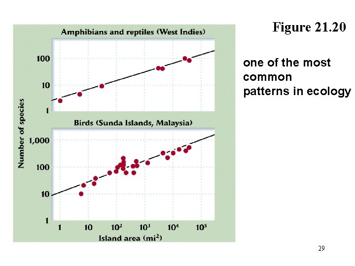 Figure 21. 20 one of the most common patterns in ecology 29 