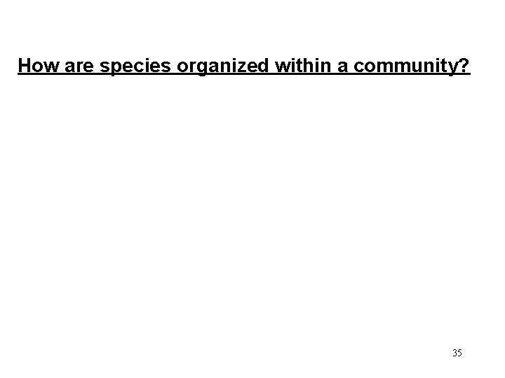 How are species organized within a community? 35 