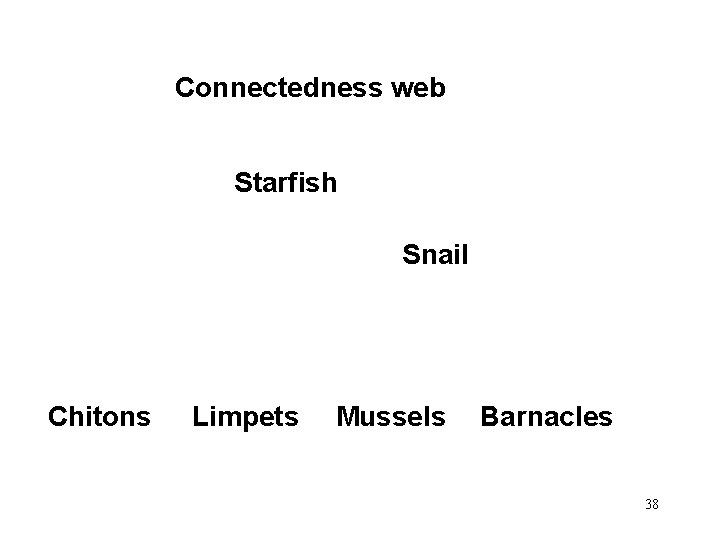 Connectedness web Starfish Snail Chitons Limpets Mussels Barnacles 38 