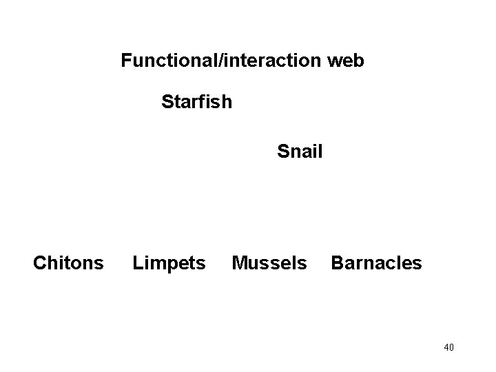 Functional/interaction web Starfish Snail Chitons Limpets Mussels Barnacles 40 