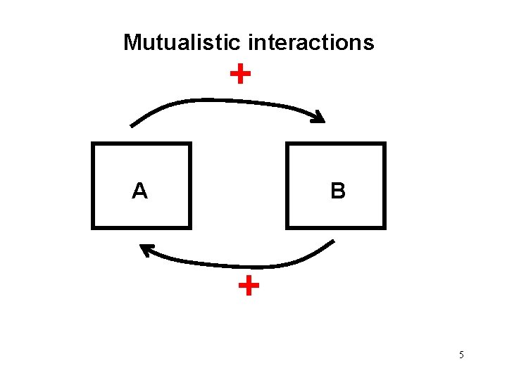Mutualistic interactions + A B + 5 