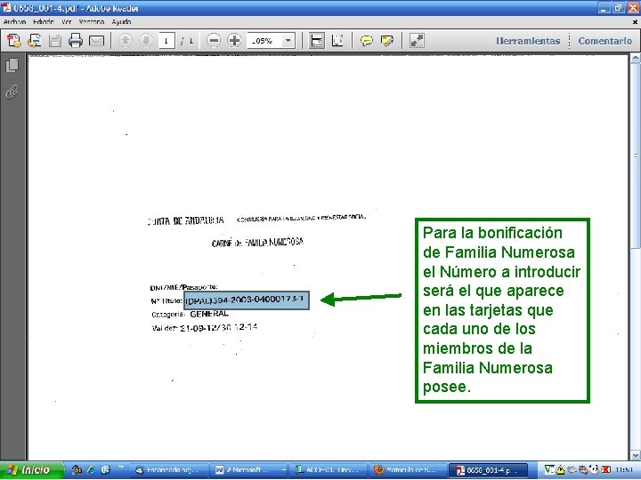 Para la bonificación de Familia Numerosa el Número a introducir será el que aparece Para la bonificación de Familia Numerosa el Número a introducir será el que aparece