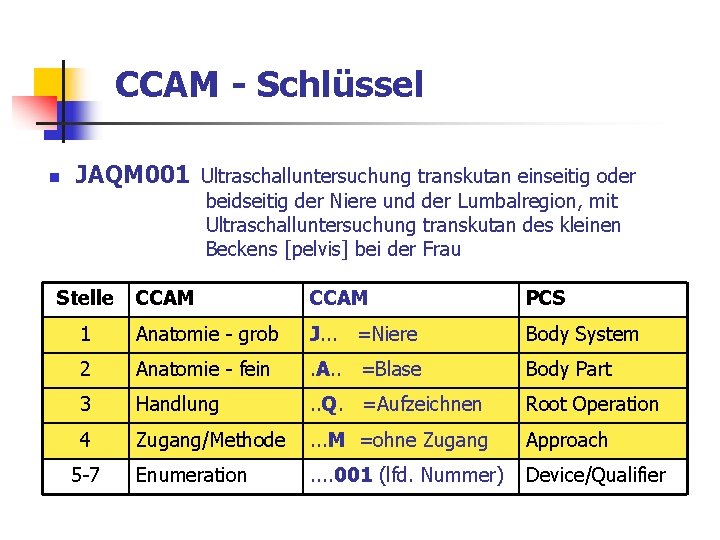 CCAM - Schlüssel n JAQM 001 Ultraschalluntersuchung transkutan einseitig oder beidseitig der Niere und