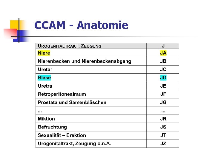 CCAM - Anatomie 
