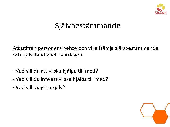 Självbestämmande Att utifrån personens behov och vilja främja självbestämmande och självständighet i vardagen. -