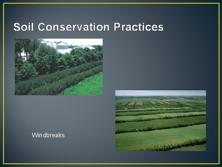 Soil Conservation Practices Windbreaks 