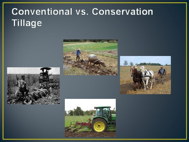 Conventional vs. Conservation Tillage 