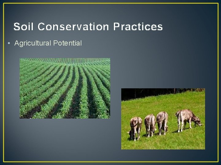 Soil Conservation Practices • Agricultural Potential 