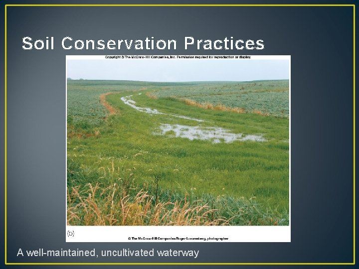 Soil Conservation Practices A well-maintained, uncultivated waterway 