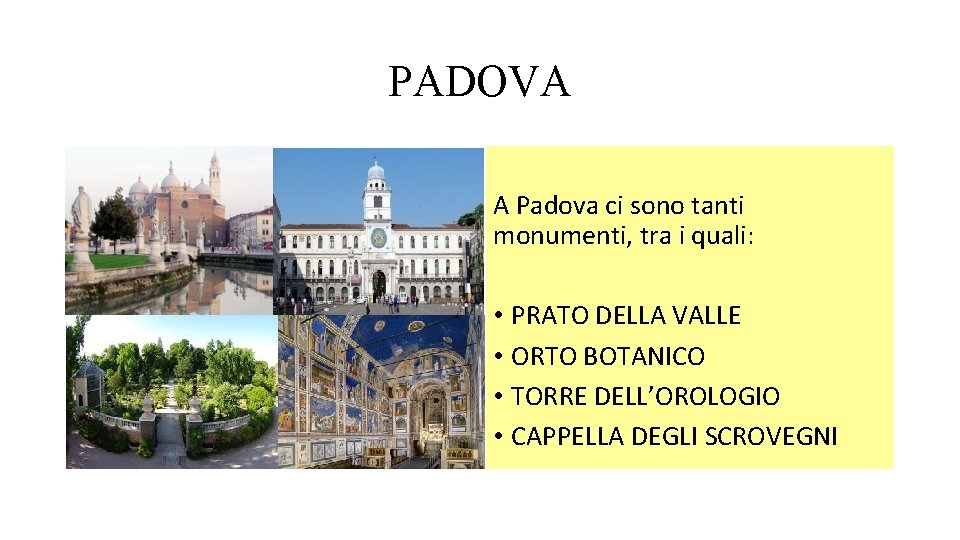 PADOVA A Padova ci sono tanti monumenti, tra i quali: • PRATO DELLA VALLE