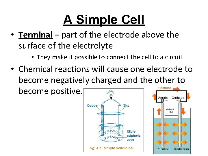 A Simple Cell • Terminal = part of the electrode above the surface of