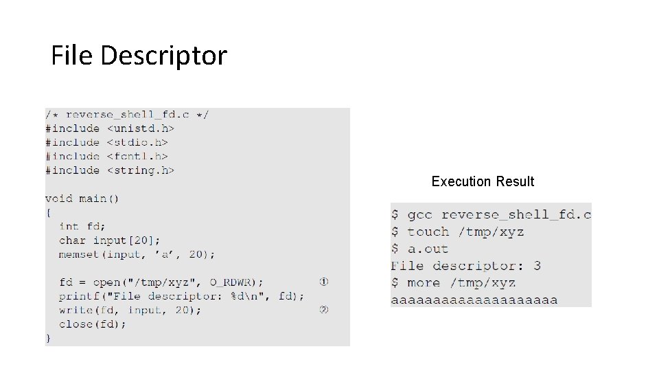 File Descriptor Execution Result 