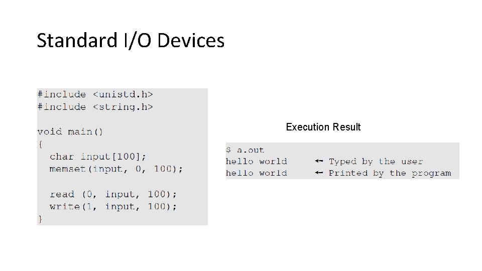 Standard I/O Devices Execution Result 