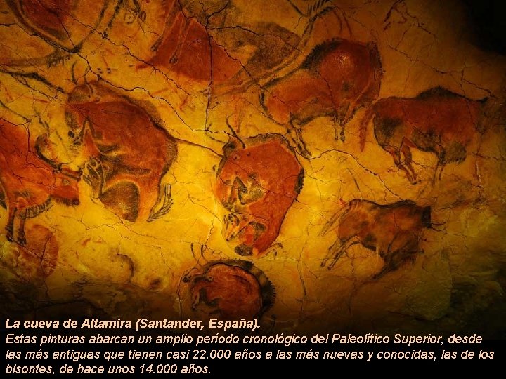La cueva de Altamira (Santander, España). Estas pinturas abarcan un amplio período cronológico del