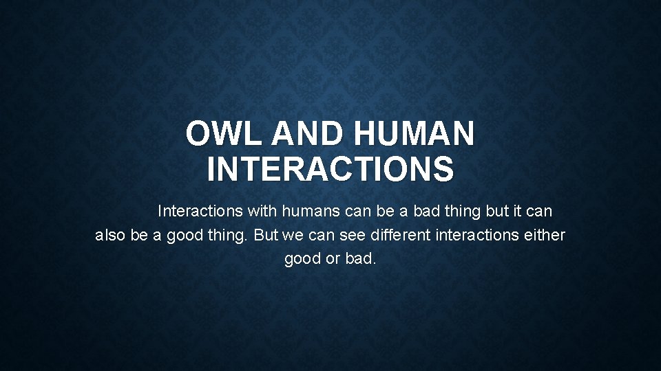 OWL AND HUMAN INTERACTIONS Interactions with humans can be a bad thing but it