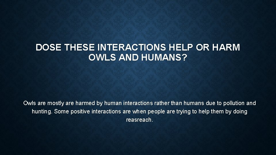 DOSE THESE INTERACTIONS HELP OR HARM OWLS AND HUMANS? Owls are mostly are harmed