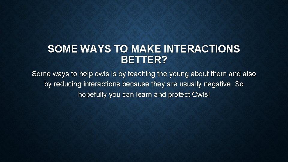 SOME WAYS TO MAKE INTERACTIONS BETTER? Some ways to help owls is by teaching