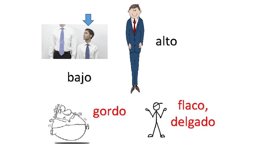 alto bajo gordo flaco, delgado 