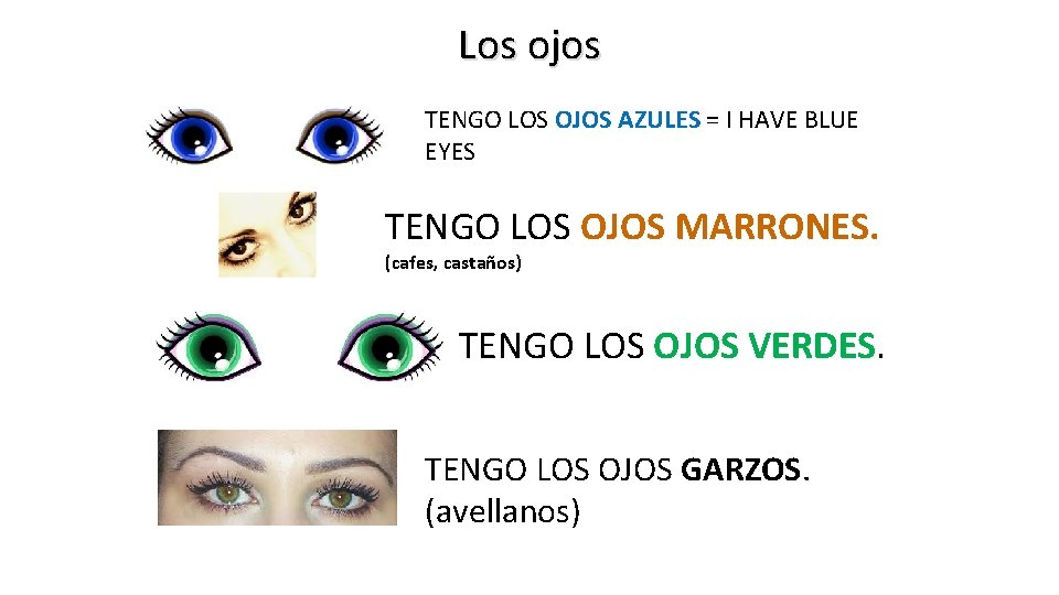 Los ojos TENGO LOS OJOS AZULES = I HAVE BLUE EYES TENGO LOS OJOS