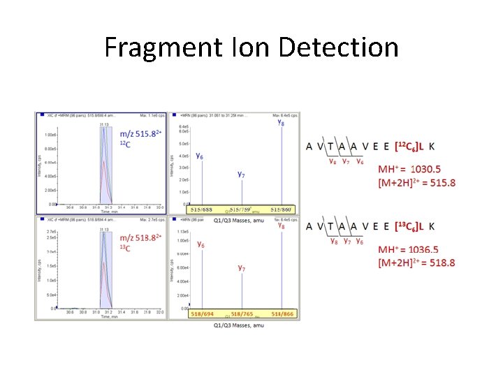 Fragment Ion Detection 