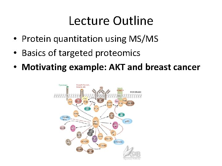 Lecture Outline • Protein quantitation using MS/MS • Basics of targeted proteomics • Motivating