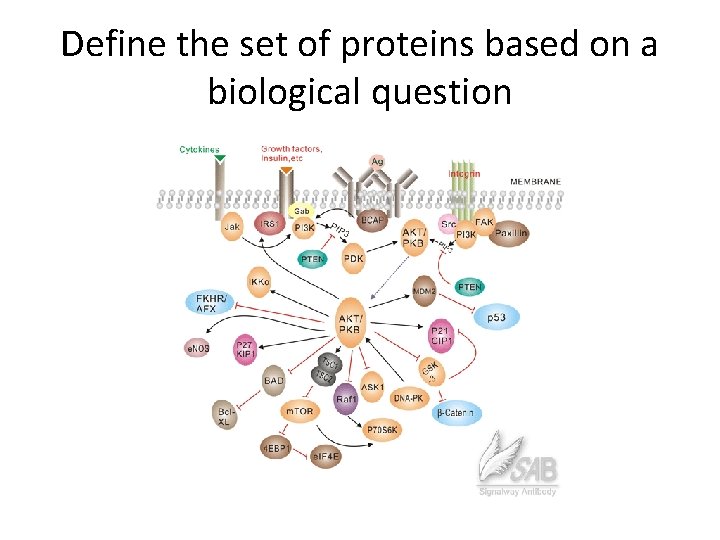 Define the set of proteins based on a biological question 