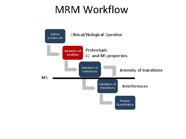 MRM Workflow Define protein set Clinical/Biological Question Selection of peptides Proteotypic LC and MS