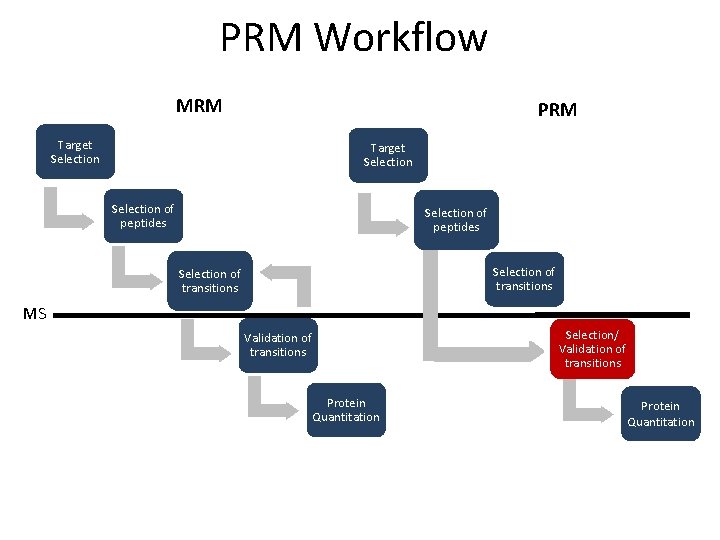 PRM Workflow MRM PRM Target Selection of peptides Selection of transitions MS Selection/ Validation