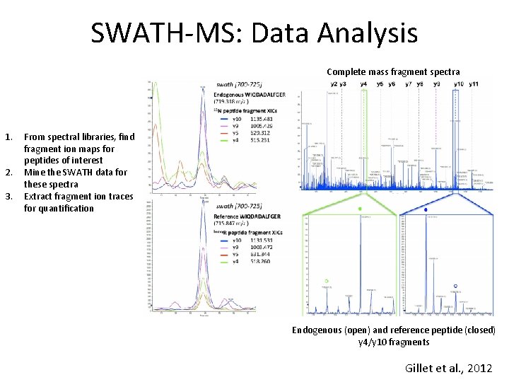 SWATH-MS: Data Analysis Complete mass fragment spectra 1. 2. 3. From spectral libraries, find