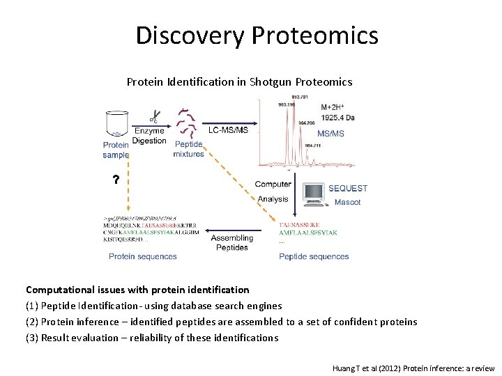 Discovery Proteomics Protein Identification in Shotgun Proteomics Computational issues with protein identification (1) Peptide