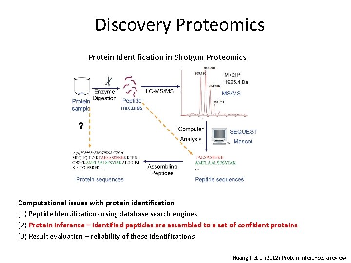 Discovery Proteomics Protein Identification in Shotgun Proteomics Computational issues with protein identification (1) Peptide