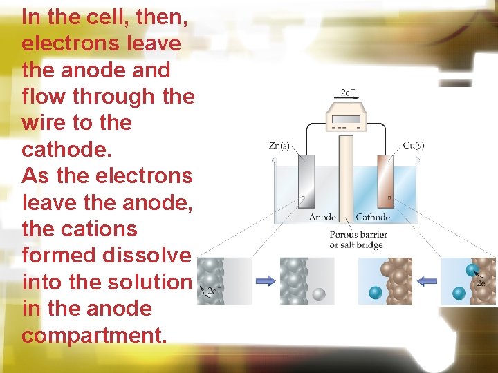 In the cell, then, electrons leave the anode and flow through the wire to In the cell, then, electrons leave the anode and flow through the wire to
