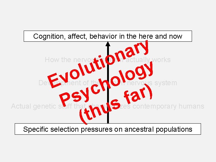 Cognition, affect, behavior in the here and now y r a n o i