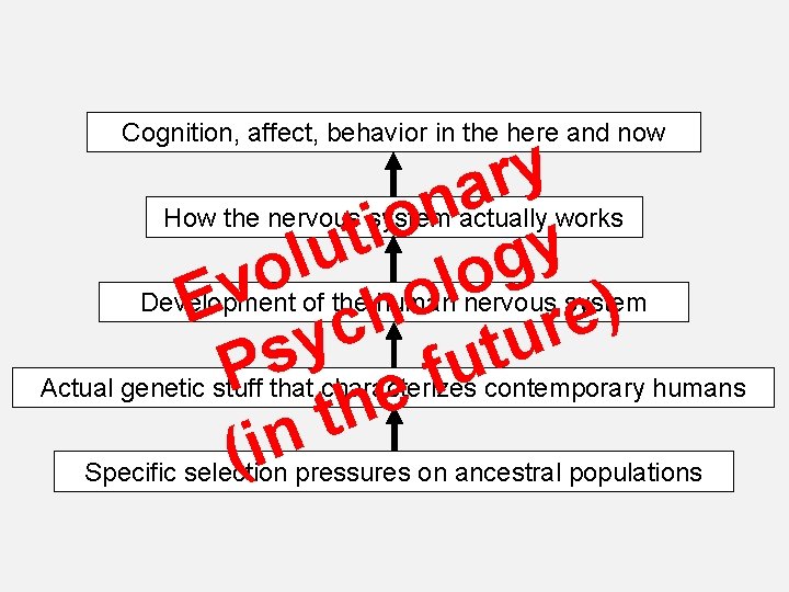 Cognition, affect, behavior in the here and now y r a n o i