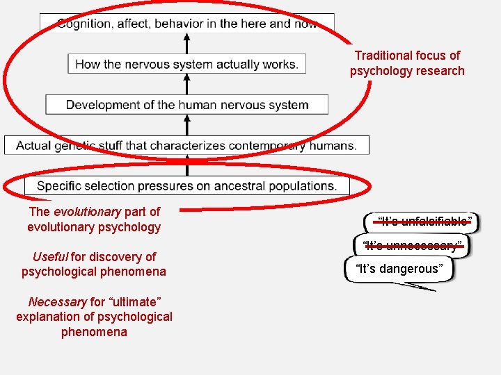 Traditional focus of psychology research The evolutionary part of evolutionary psychology Useful for discovery