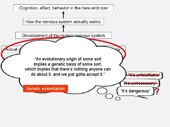 “An evolutionary origin of some sort implies a genetic basis of some sort, which