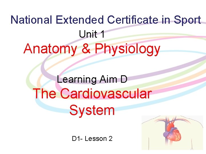 National Extended Certificate in Sport Unit 1 Anatomy