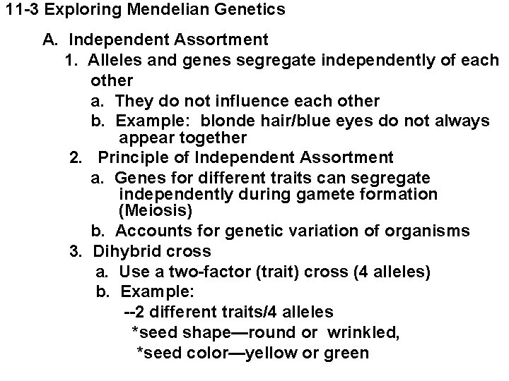 11 -3 Exploring Mendelian Genetics A. Independent Assortment 1. Alleles and genes segregate independently 11 -3 Exploring Mendelian Genetics A. Independent Assortment 1. Alleles and genes segregate independently