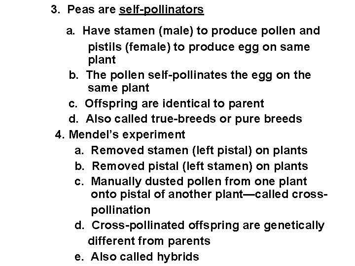 3. Peas are self-pollinators a. Have stamen (male) to produce pollen and pistils (female) 3. Peas are self-pollinators a. Have stamen (male) to produce pollen and pistils (female)