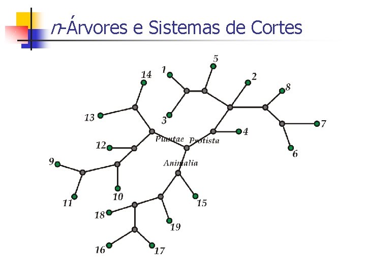 n-Árvores e Sistemas de Cortes 