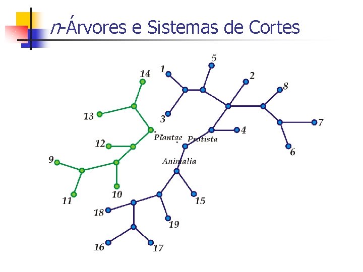 n-Árvores e Sistemas de Cortes 