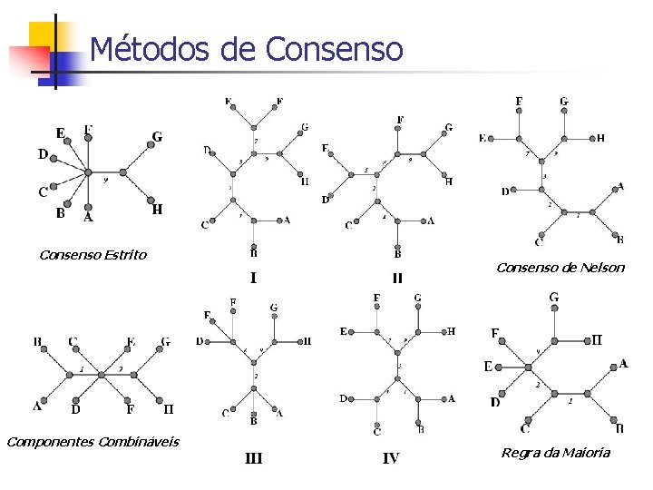 Métodos de Consenso Estrito Componentes Combináveis Consenso de Nelson Regra da Maioria 