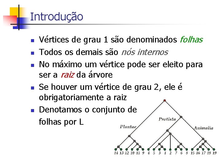 Introdução n n n Vértices de grau 1 são denominados folhas Todos os demais