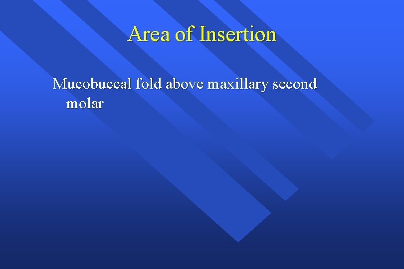 Area of Insertion Mucobuccal fold above maxillary second molar 
