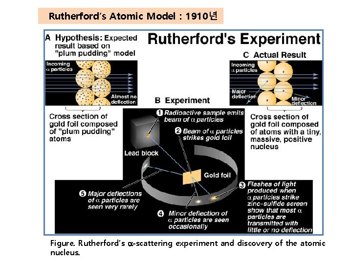 Rutherford′s Atomic Model : 1910년 Figure. Rutherford’s a-scattering experiment and discovery of the atomic