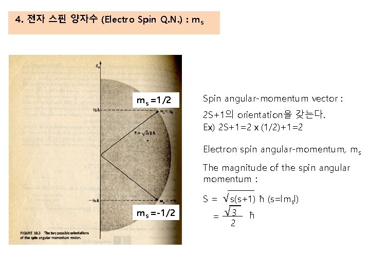 4. 전자 스핀 양자수 (Electro Spin Q. N. ) : ms ms =1/2 Spin
