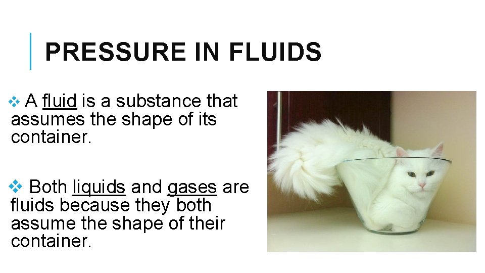 PRESSURE IN FLUIDS v. A fluid is a substance that assumes the shape of