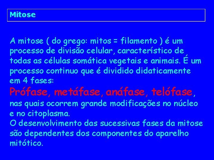 Mitose A mitose ( do grego: mitos = filamento ) é um processo de