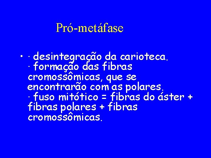 Pró-metáfase • · desintegração da carioteca. · formação das fibras cromossômicas, que se encontrarão